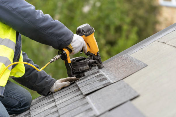 Best Skylight Installation and Repair  in Clifton Forge, VA