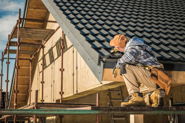 Best Roof Moss and Algae Removal  in Clifton Forge, VA