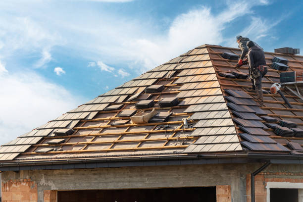 Best Roof Maintenance and Cleaning  in Clifton Forge, VA